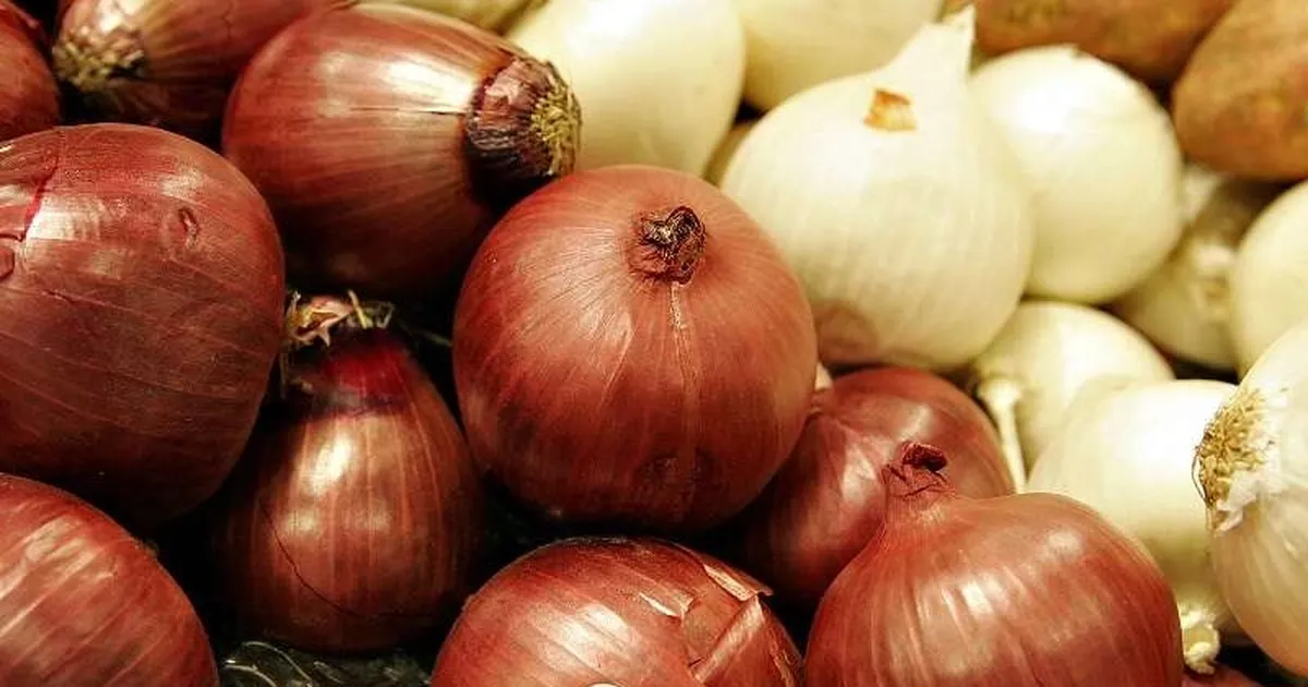 Kuru soğanda gümrük geçici yüzde 5’e indirildi Kuru soganda gumruk gecici yuzde 5e indirildi lPS9ZwHY