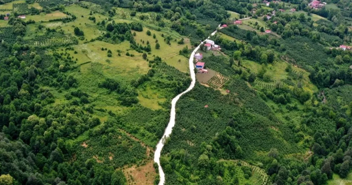 Ordu buyuksehir belediyesi akkusta ulasimi guclendiriyor YI8cLgcz